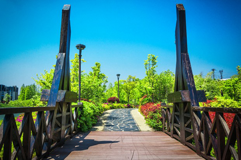 Bow Bridge in Central Park, New York